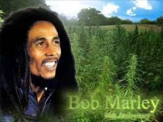 Singles Bob Marley - No Woman No Cry video