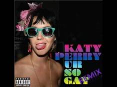 UR so Gay Katy Perry - Ur So Gay [Remix] video