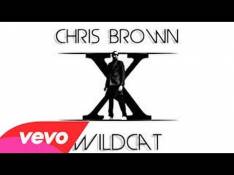 X Chris Brown - Wildcat video